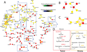 Analyses of molecular networks of multicellular communities.